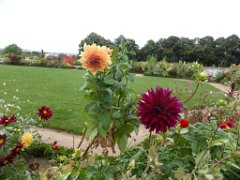 6 jardin Eveque (11)